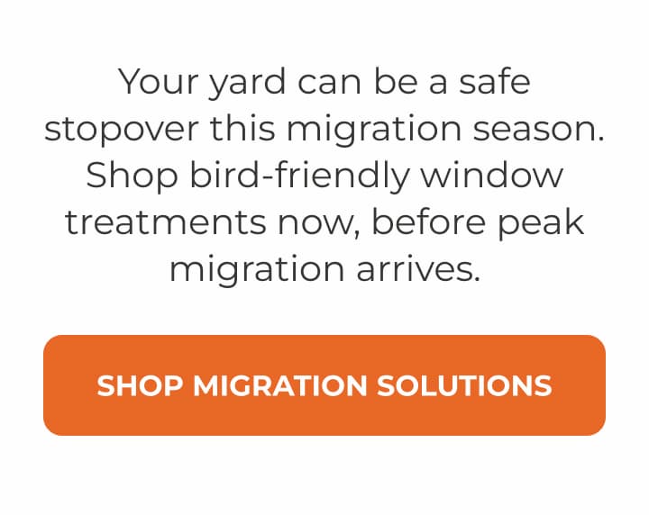Your yard can be a safe stopover this migration season