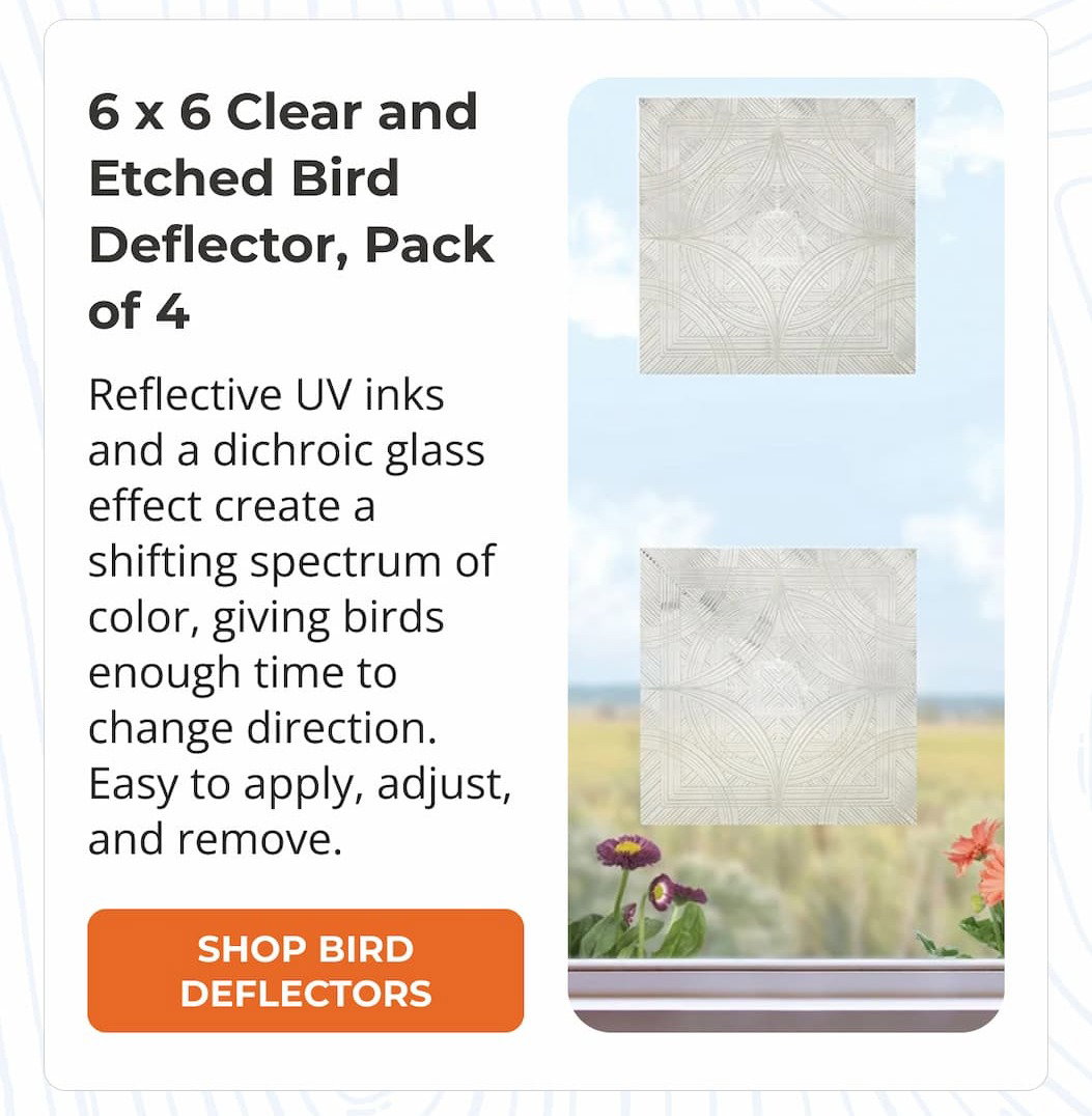6 x 6 Clear and Etched Bird Deflector, Pack of 4
