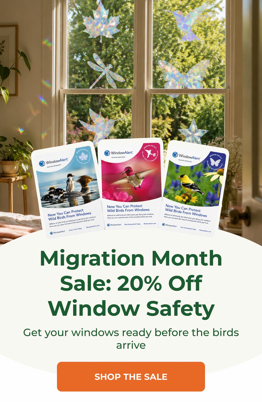 Migration Month Sale: 20% Off Window Safety