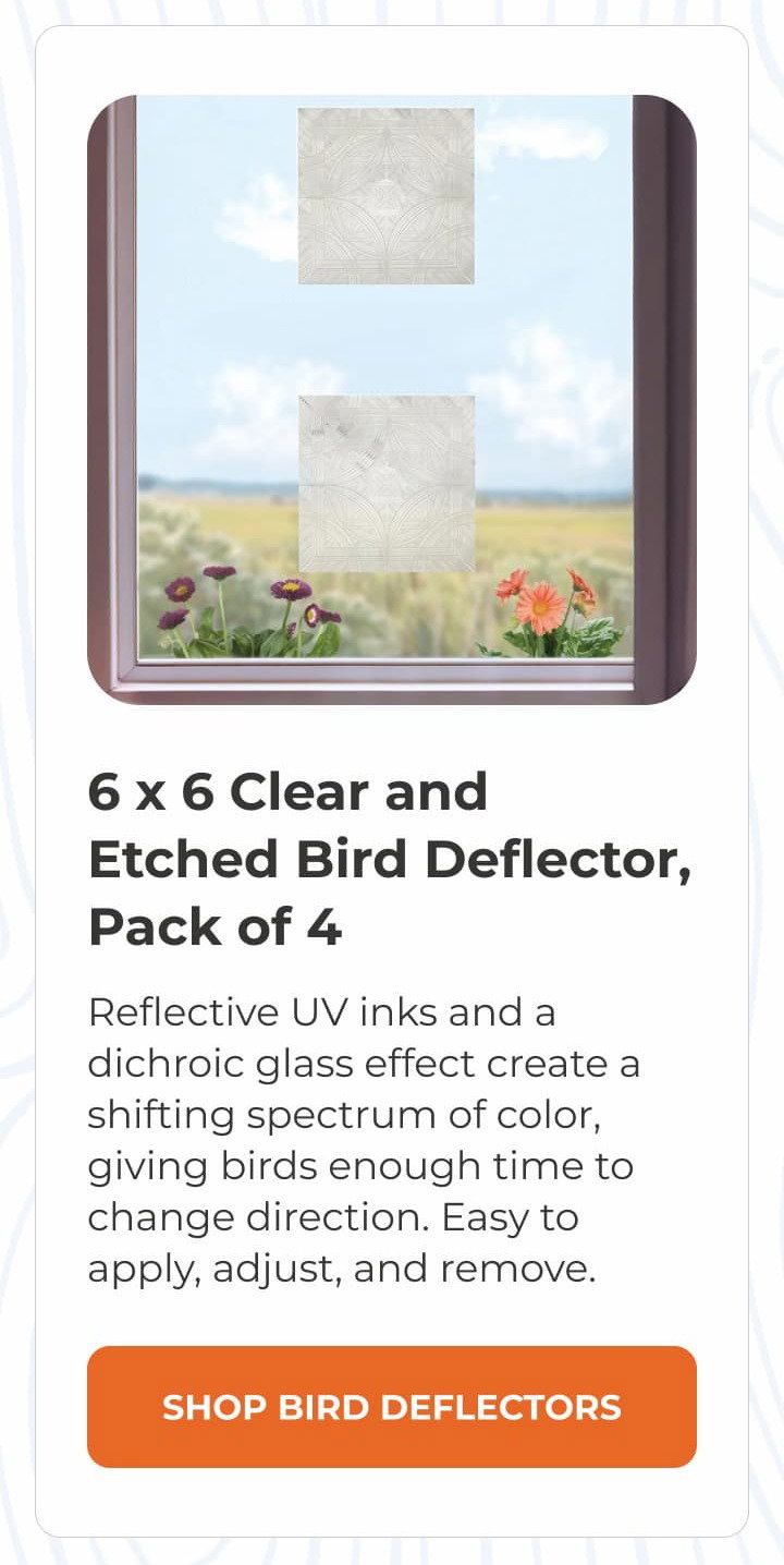 6 x 6 Clear and Etched Bird Deflector, Pack of 4