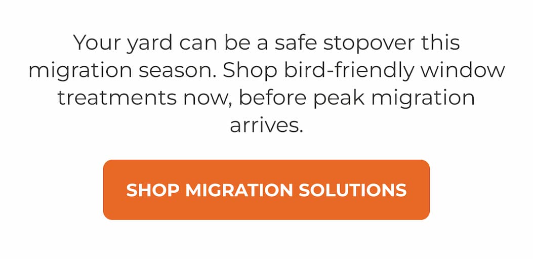 Your yard can be a safe stopover this migration season