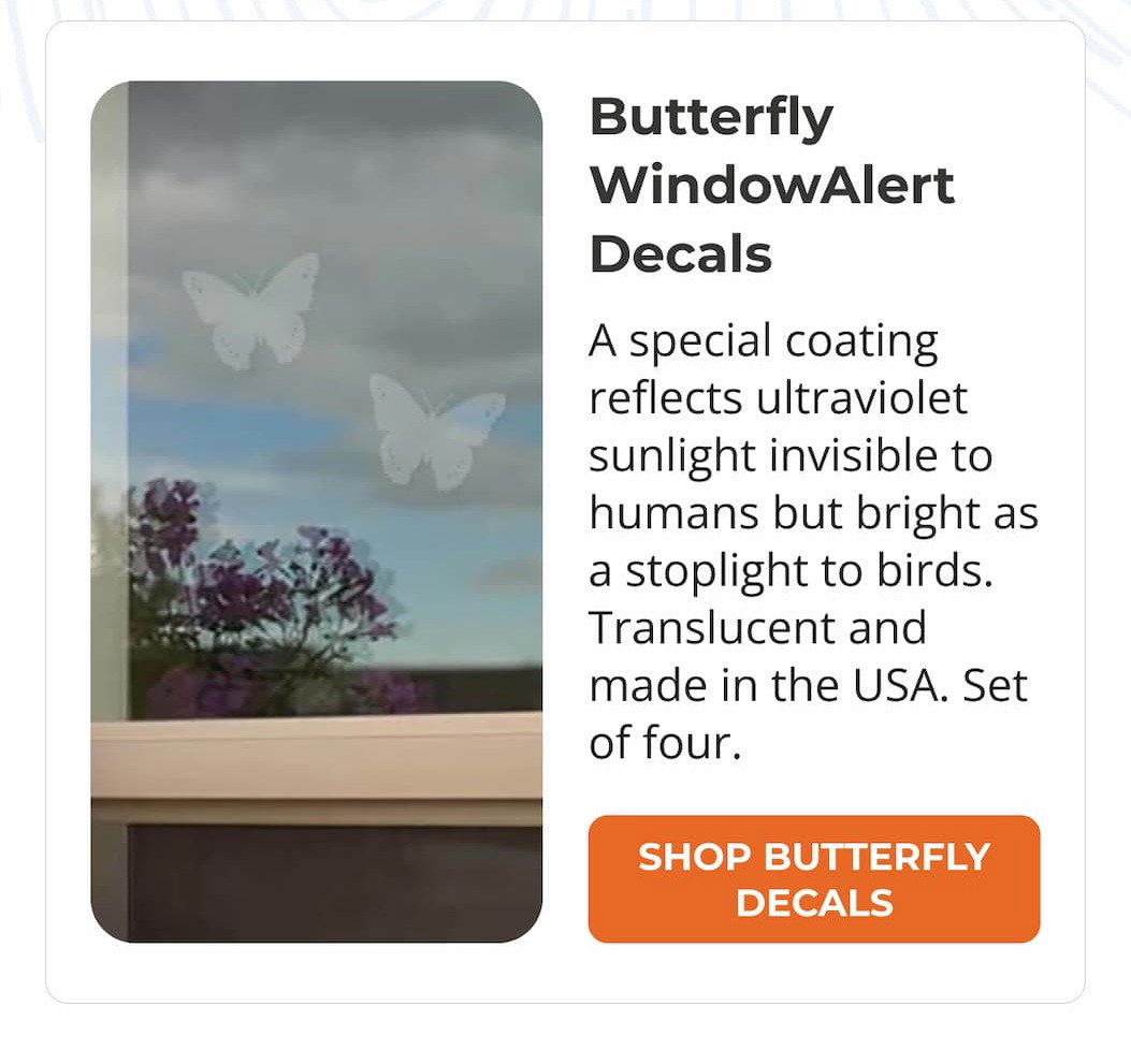Butterfly WindowAlert Decals