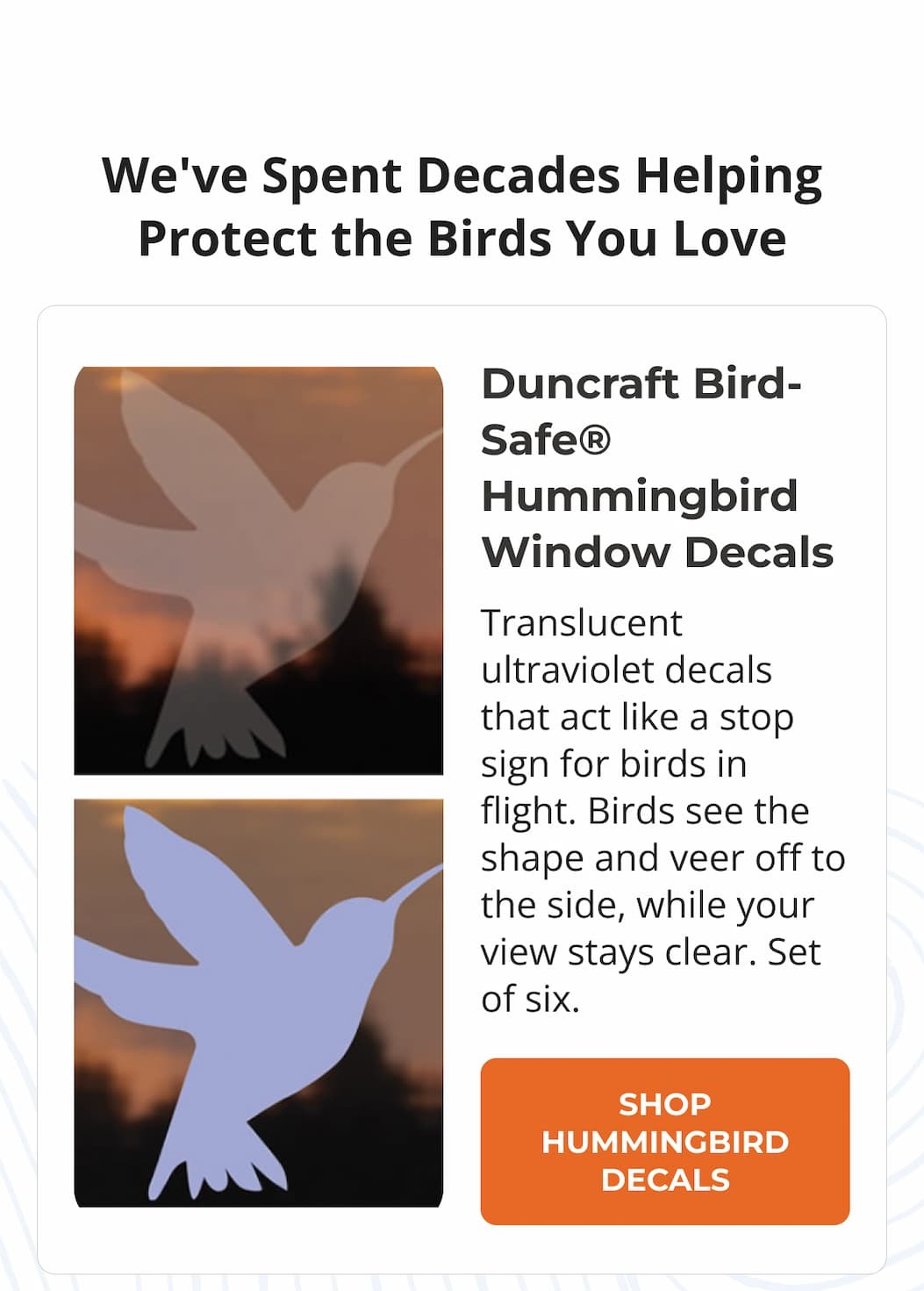 We've Spent Decades Helping Protect the Birds You Love