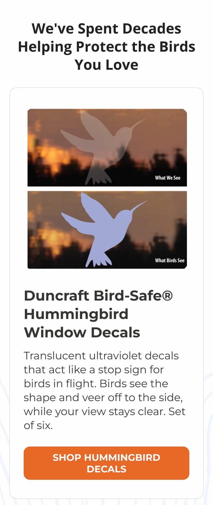 We've Spent Decades Helping Protect the Birds You Love