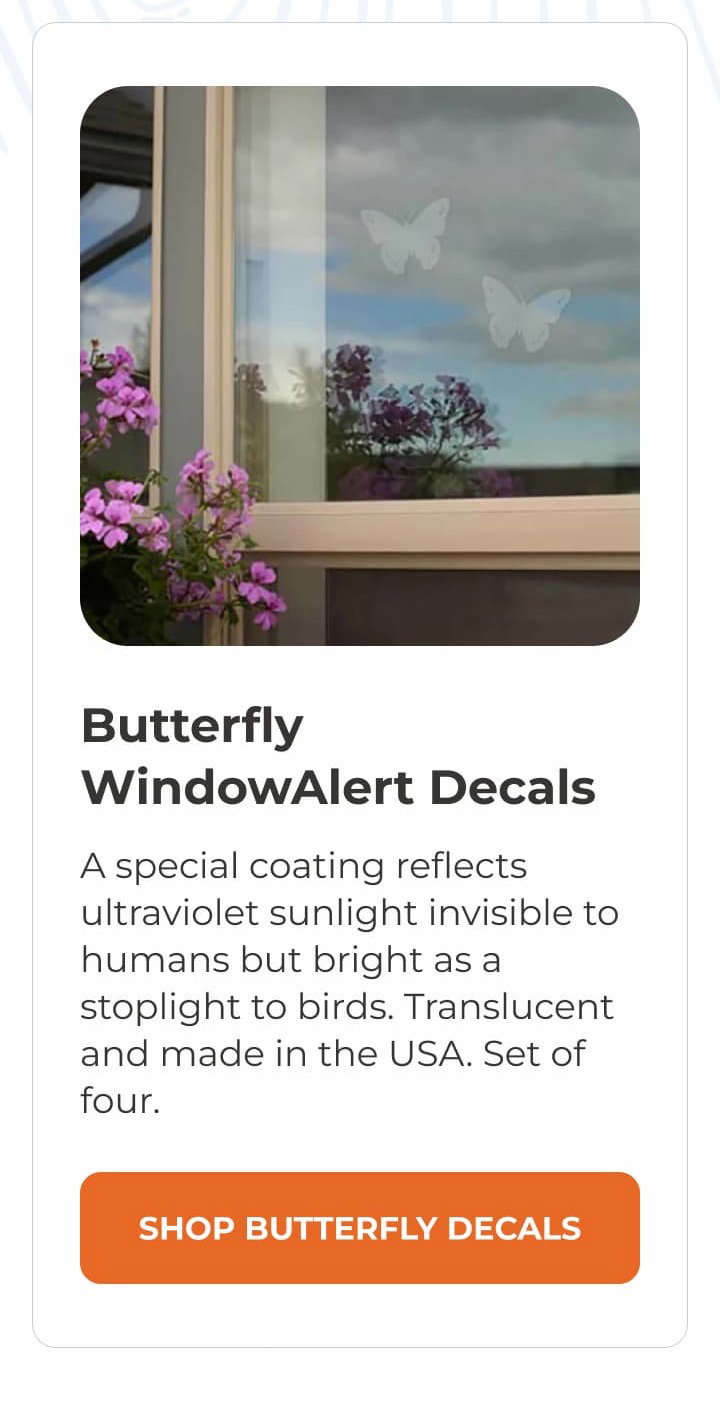 Butterfly WindowAlert Decals