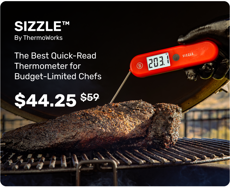 SIZZLE: Best Quick-Read Thermometer on a Budget