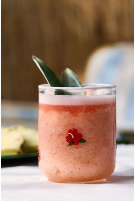 Island Icon Juice Glass