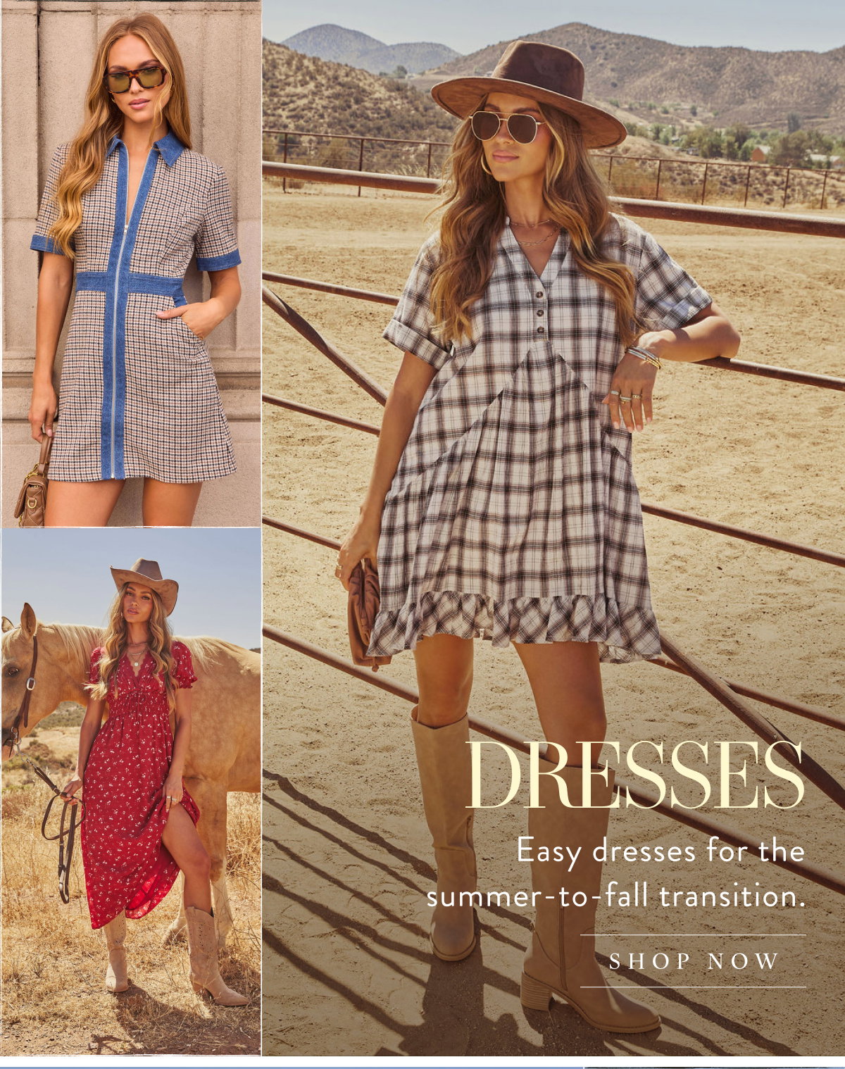 Shop Dresses