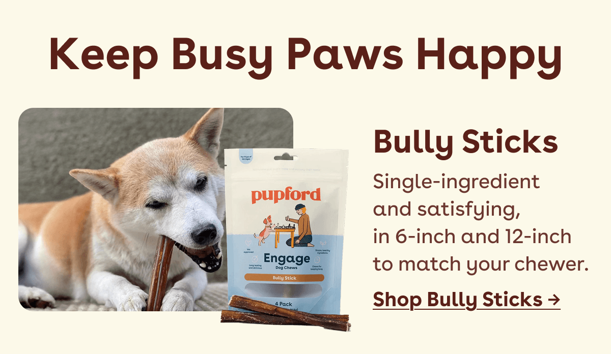 Shop bully sticks 