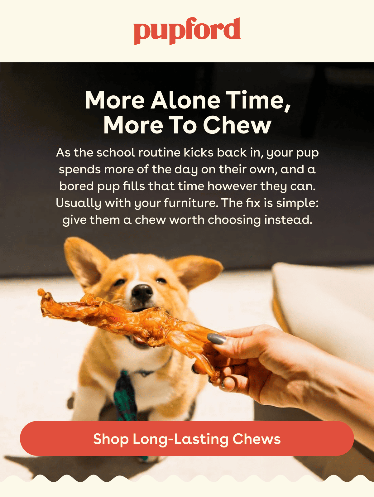 Shop long lasting chews 