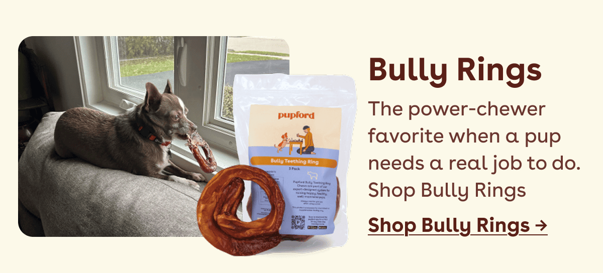 Shop Bully Rings 
