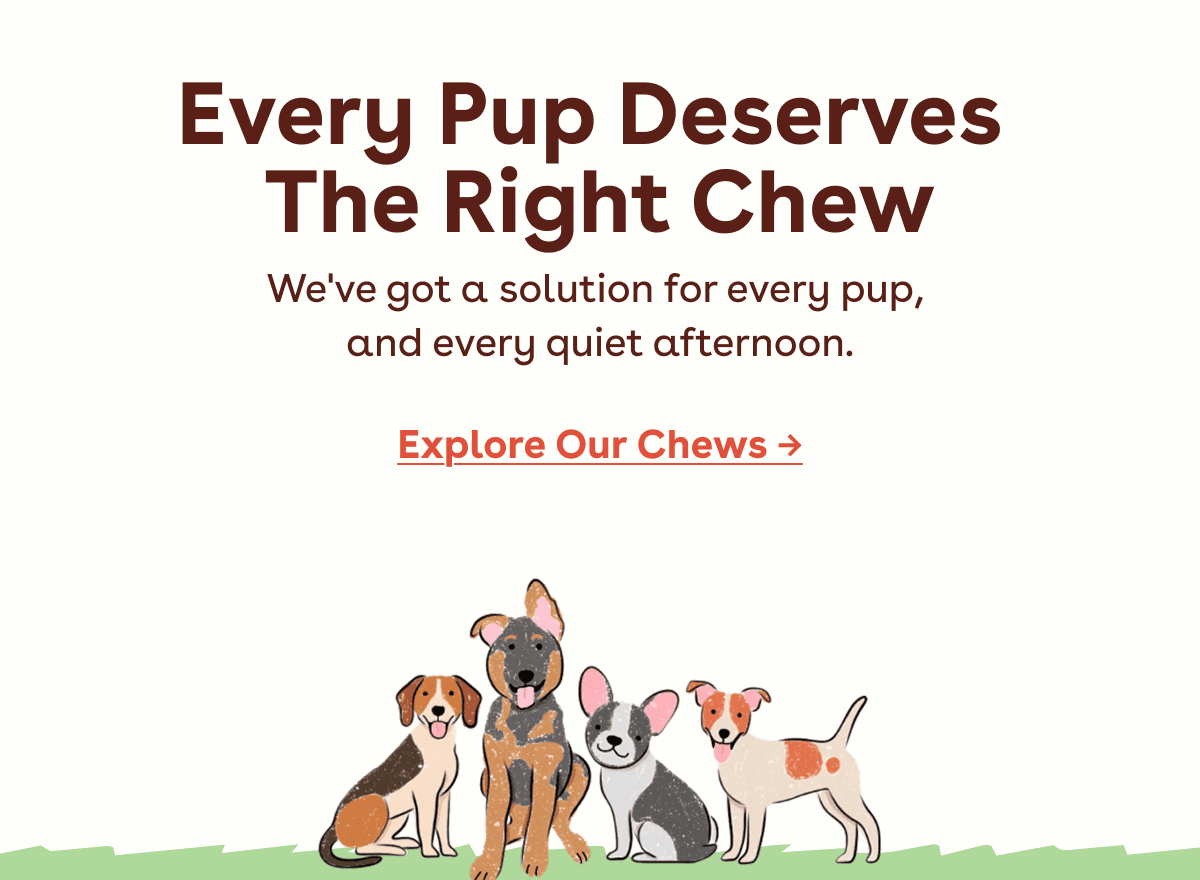 Explore our chews 