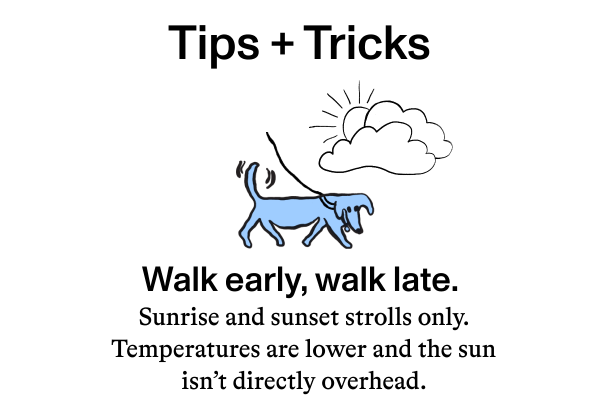 Tips + Tricks  Walk early, walk late.  Sunrise and sunset strolls only. Temperatures are lower and the sun isn’t directly overhead.
