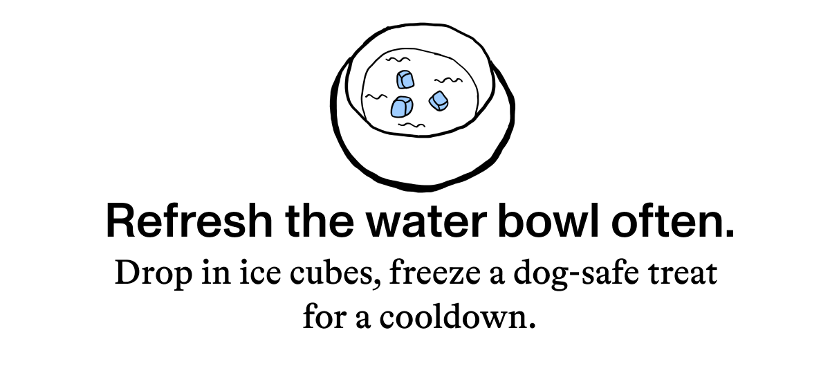 Refresh the water bowl often.  Drop in ice cubes, freeze a dog-safe treat for a cooldown.