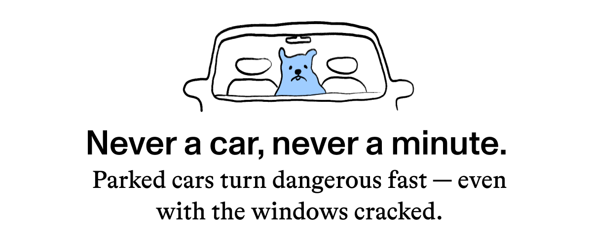 Never a car, never a minute.  Parked cars turn dangerous fast, even with the windows cracked.