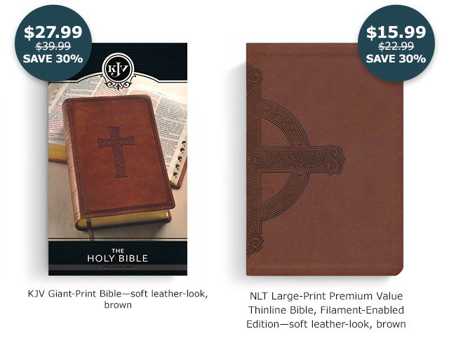 KJV Giant Print Bible | NLT Large Print Premium Value Thinline Bible