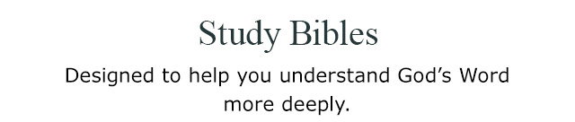 Study Bibles