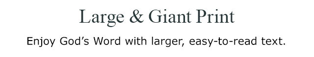 Large and Giant Print Bibles