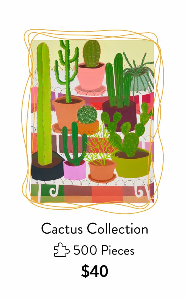Cactus Collection by Bailey Schmidt