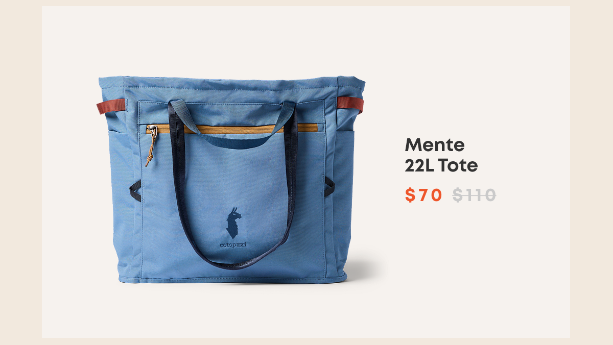 Mente 22L Tote
