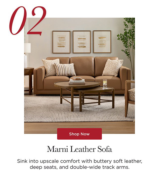 02 - Marni Leather Sofa - Shop Now