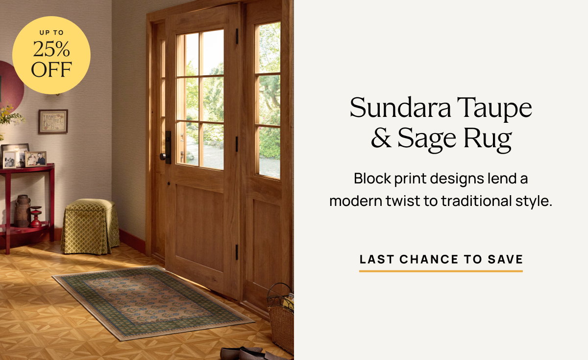 Sundara Taupe & Sage Rug| Save On This Style 