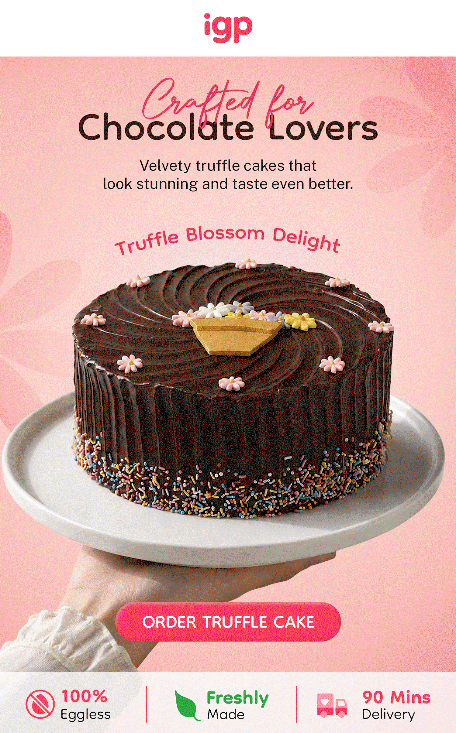Delicious Truffle Cakes