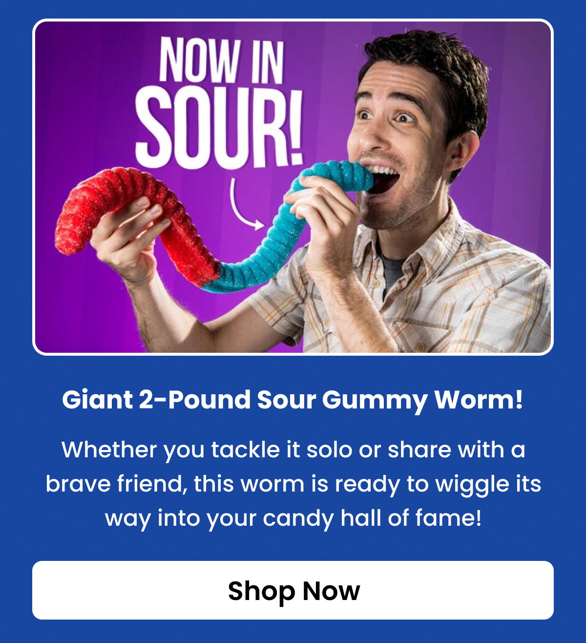 Giant 2-Pound Sour Gummy Worm