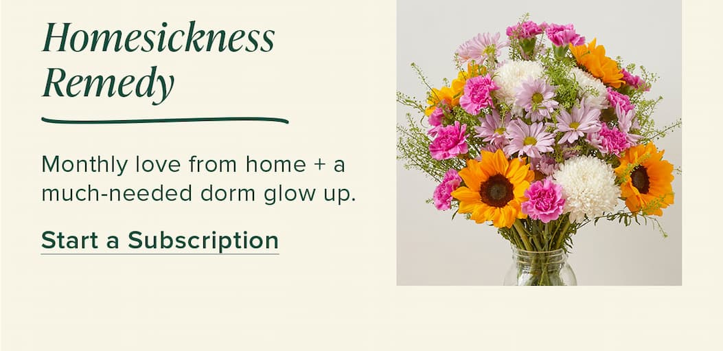 Homesickness Remedy  Monthly love from home + a much-needed dorm glow up. Start a Subscription 