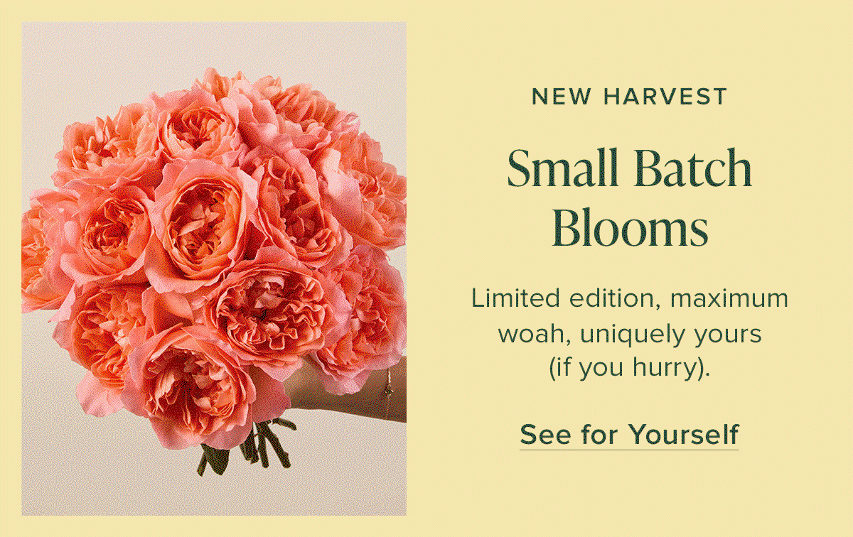 New Harvest: Small Batch Blooms. Limited edition, maximum woah, uniquely yours (if you hurry). See for Yourself