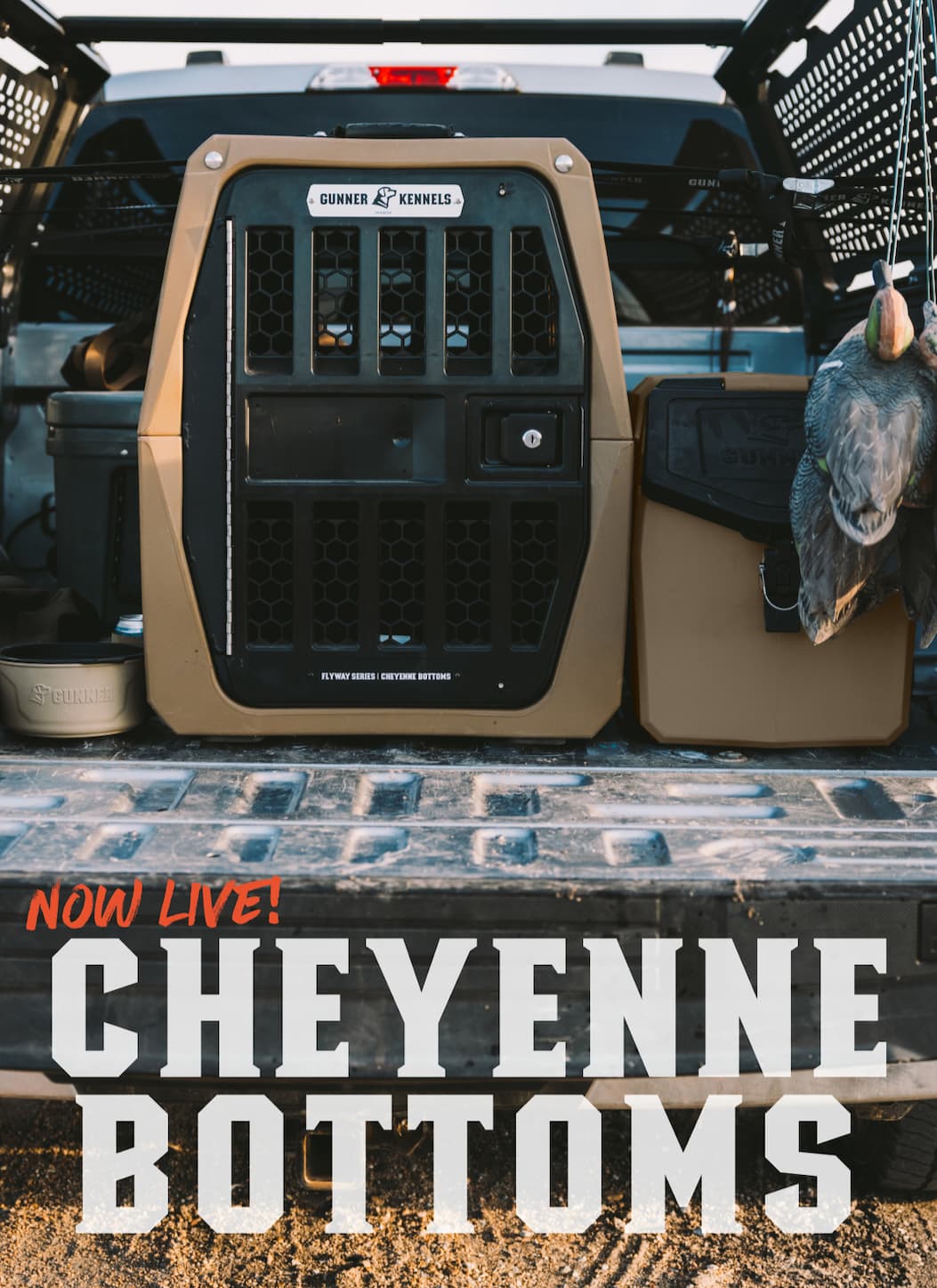 Now Live! Cheyenne Bottoms
