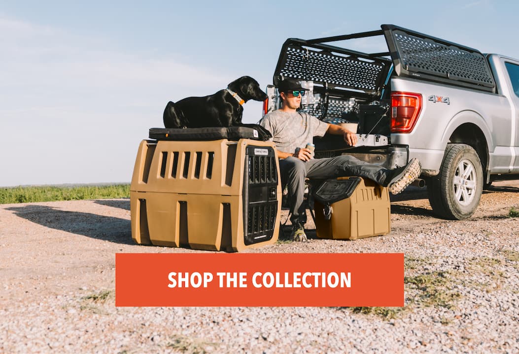 Shop the Collection