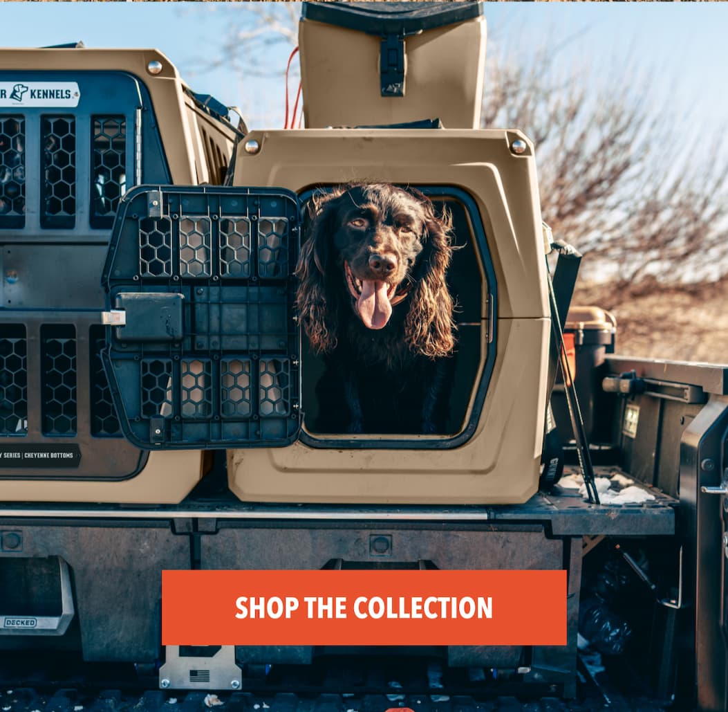 Shop the Collection