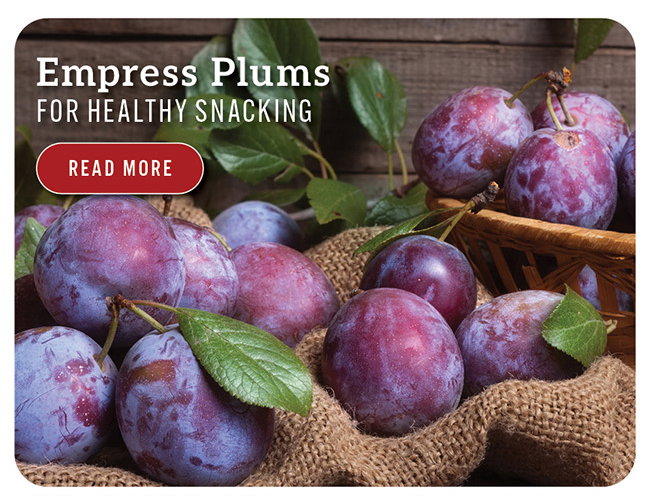 Empress Plums for Healthy Snacking