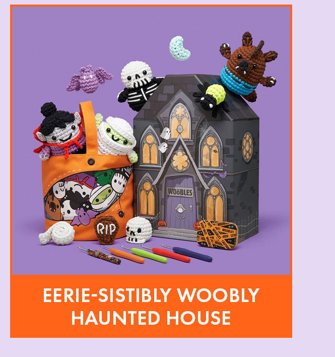 Eerie-sistibly Woobly Haunted House Box Learn to Crochet kit