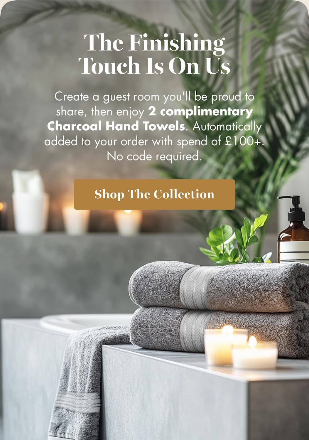 Shop The Collection