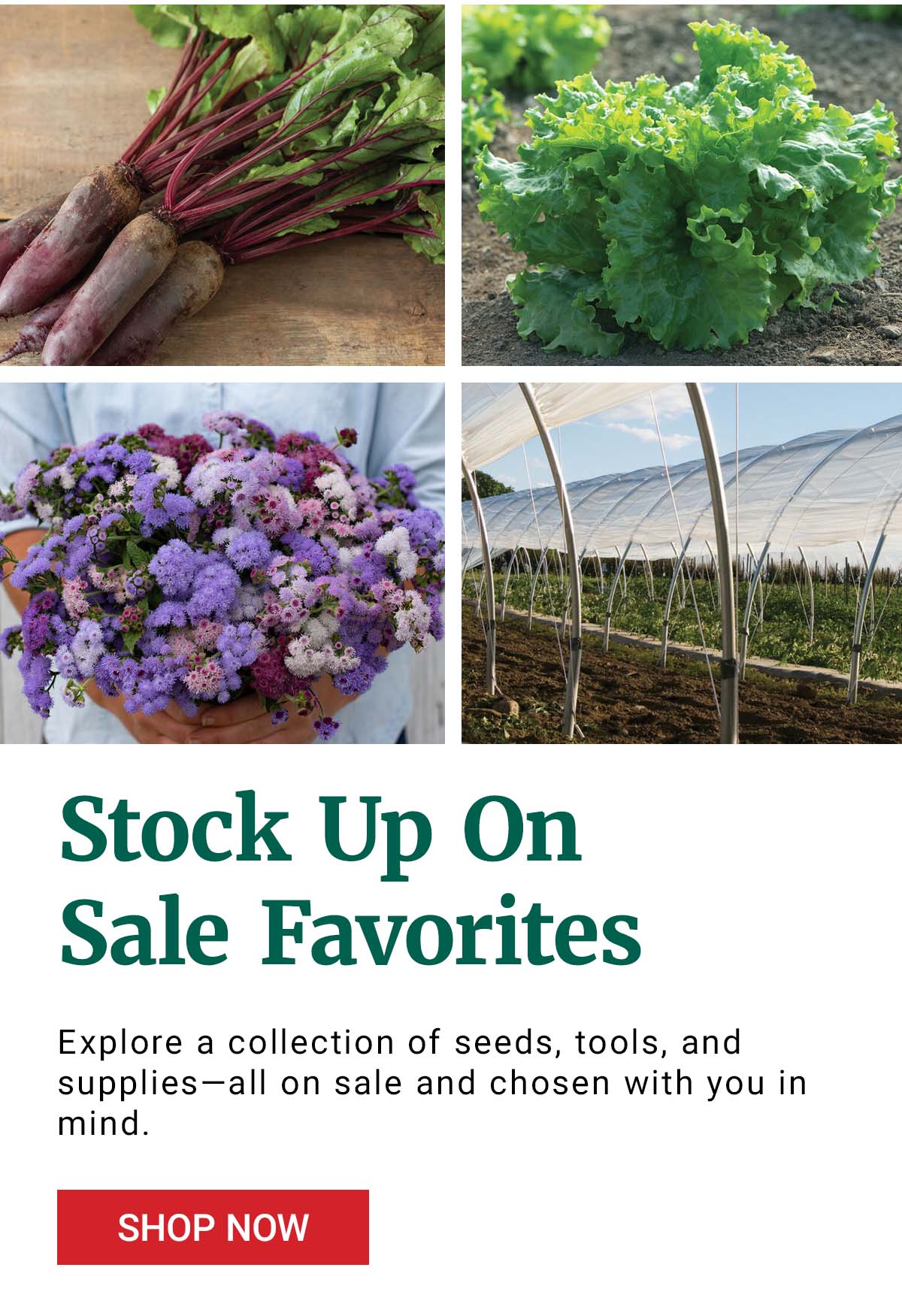 Stock Up On Sale Favorites - Shop Now