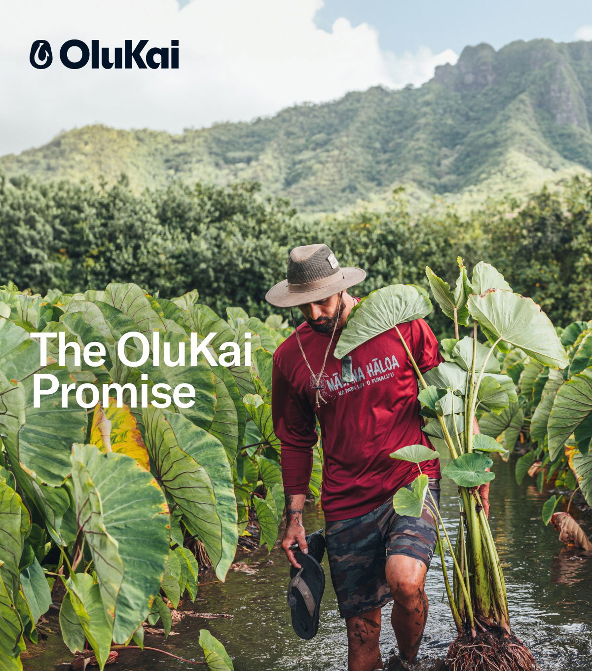 Mahalo For Joining