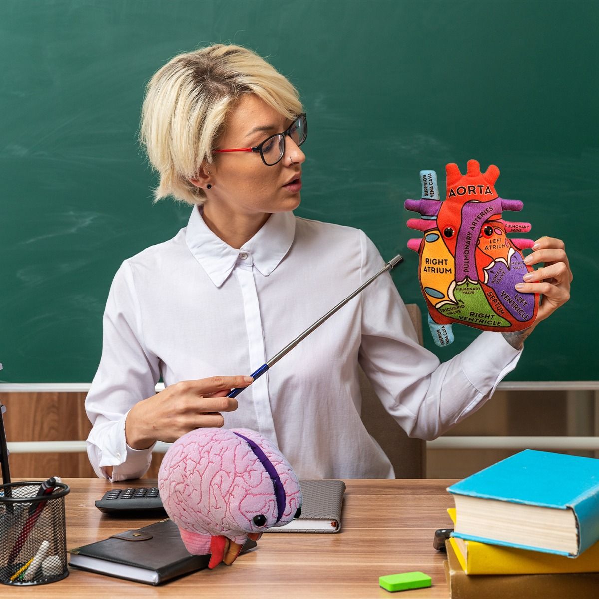 Teacher with Heart and Brain model