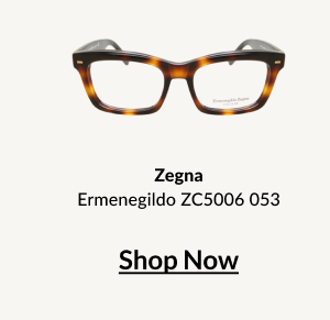 Zegna Ermenegildo ZC5006 053