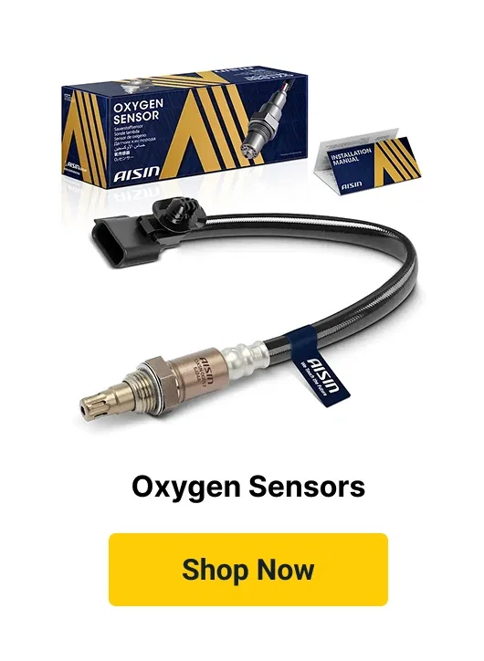 Oxygen Sensors