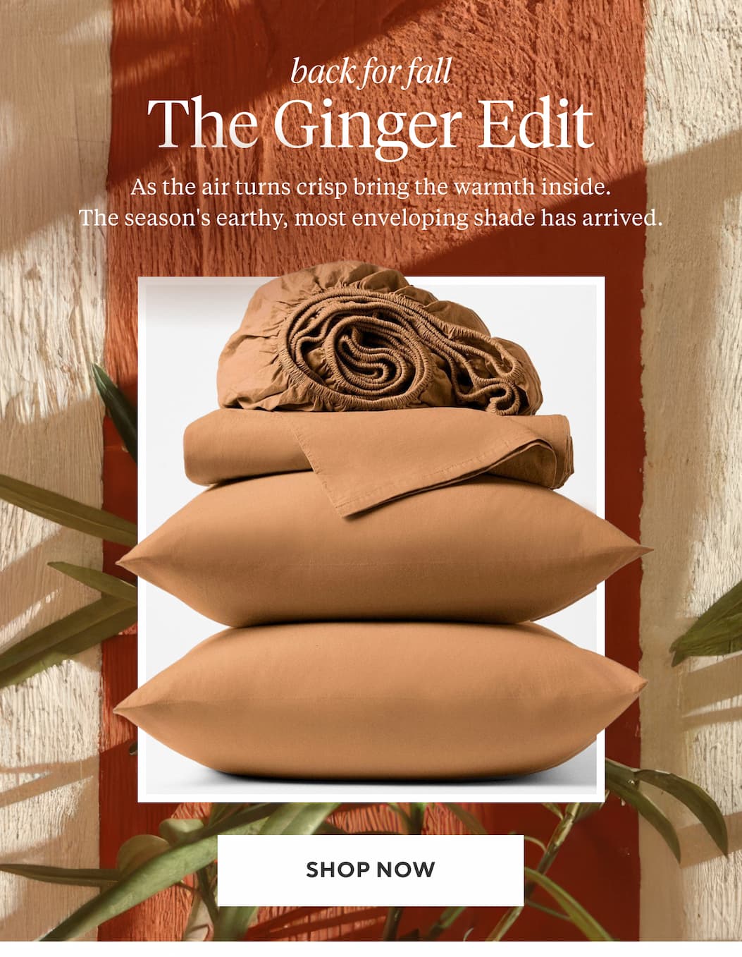 THE GINGER EDIT As the air turns crisp bring the warmth inside. The season's earthy, most enveloping shade has arrived. Shop Now >