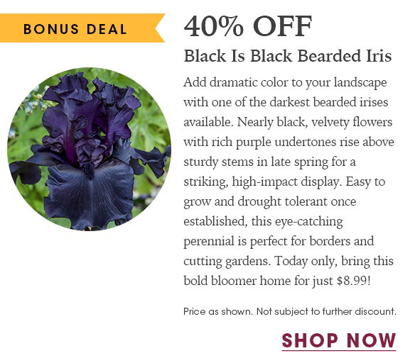 FINAL HOURS: Up to 20% OFF Perennials + Free Shipping on $150+