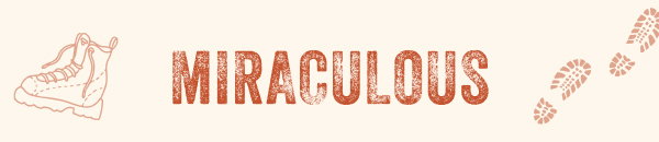 Shop all Miraculous Styles