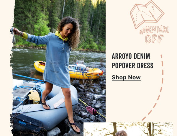 Shop the Arroyo Denim Dress