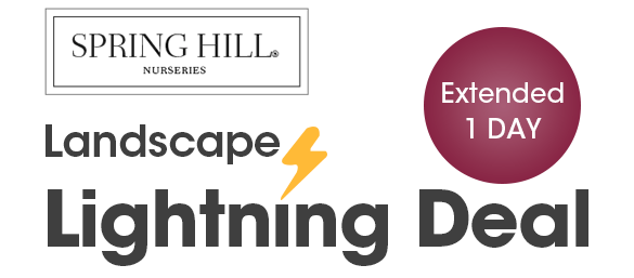 FINAL HOURS: Up to 20% OFF Trees + Free Shipping on $150+