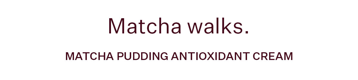 Matcha Pudding Antioxidant Cream