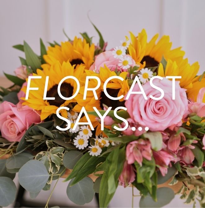 Summer Fridays bouquet - $10 off today only