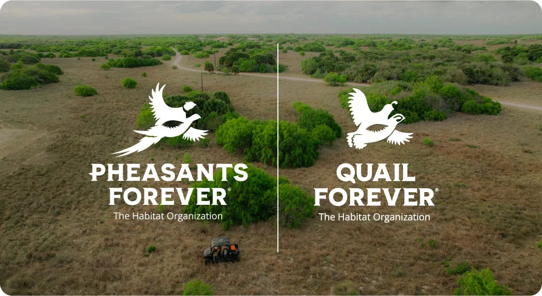 Our Partners In Flight