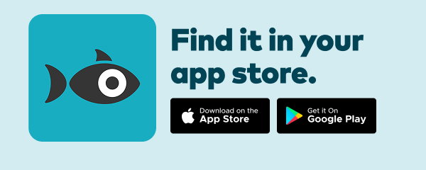Find it in your app store. Download on the app store. Get it on Google Play.